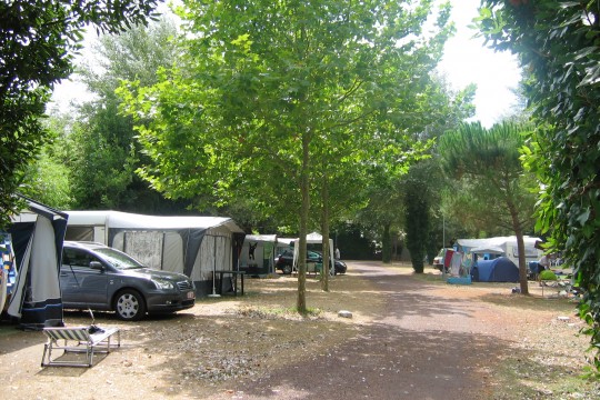 CAMPEOLECLAIREFONTAINE5
