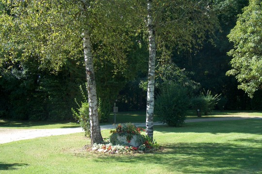 Camping(2)