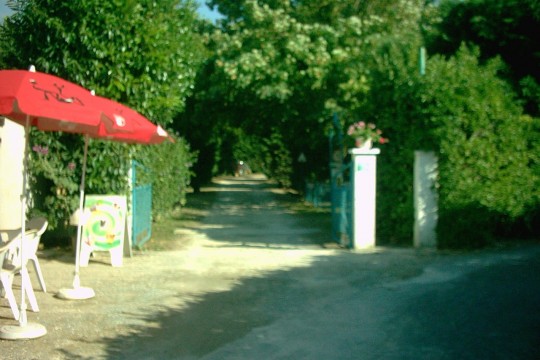 PrlongN22