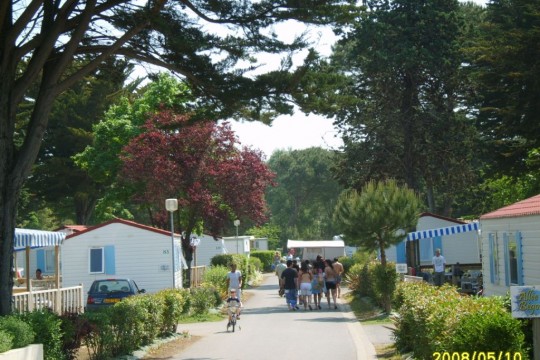 lespeuplierslaflotte17(1)
