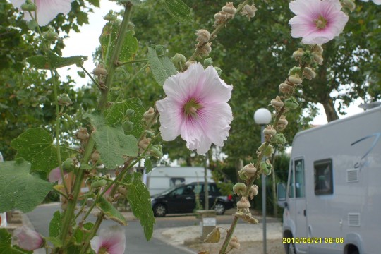 S7300403camping