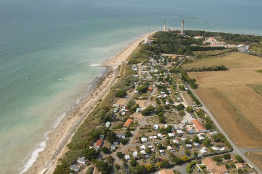 Lesbaleines