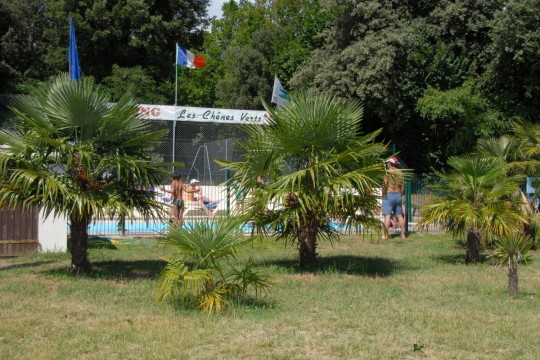 leschenesvertsmeschers1