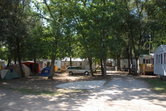 leschenesvertsmeschers4