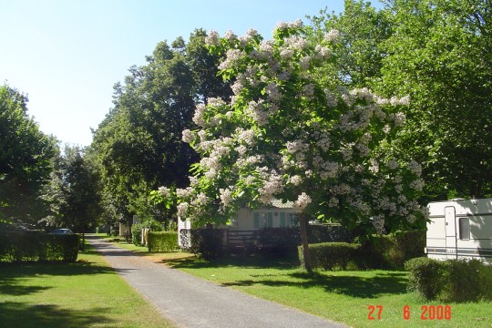 DSC01273