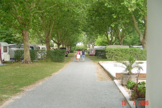 LeRelaxN10
