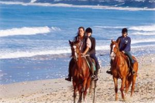 CampingAirotelOlron4