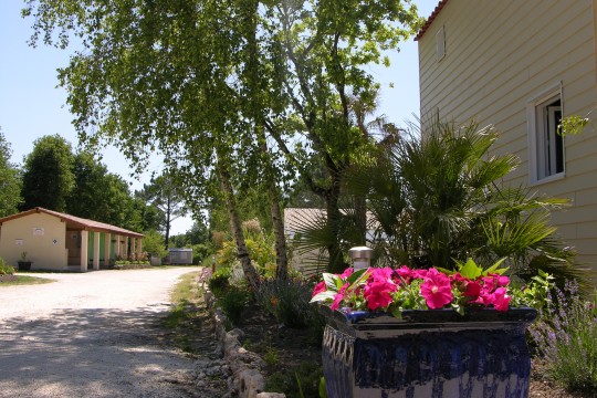DSCN5152