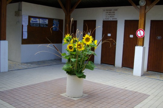 IMGP0136